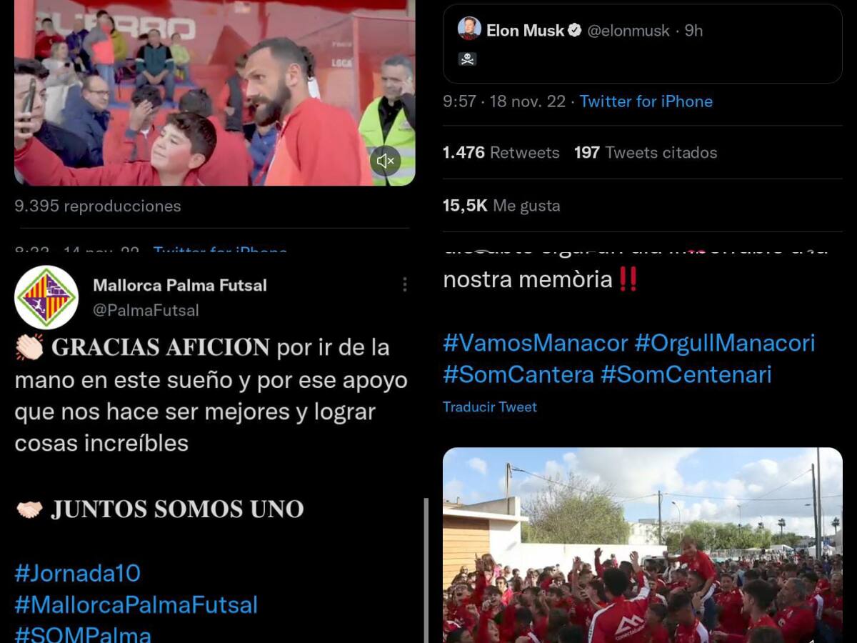 Lo mejor de las redes (18/11/2022)