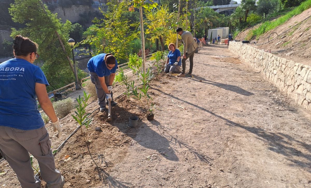 Programa empleo Elche