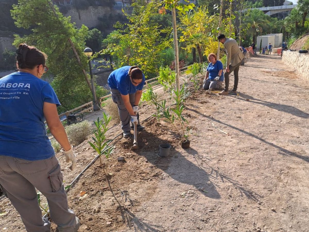 Elche solicita cerca de 1,6 millones de euros para programas de Empleo