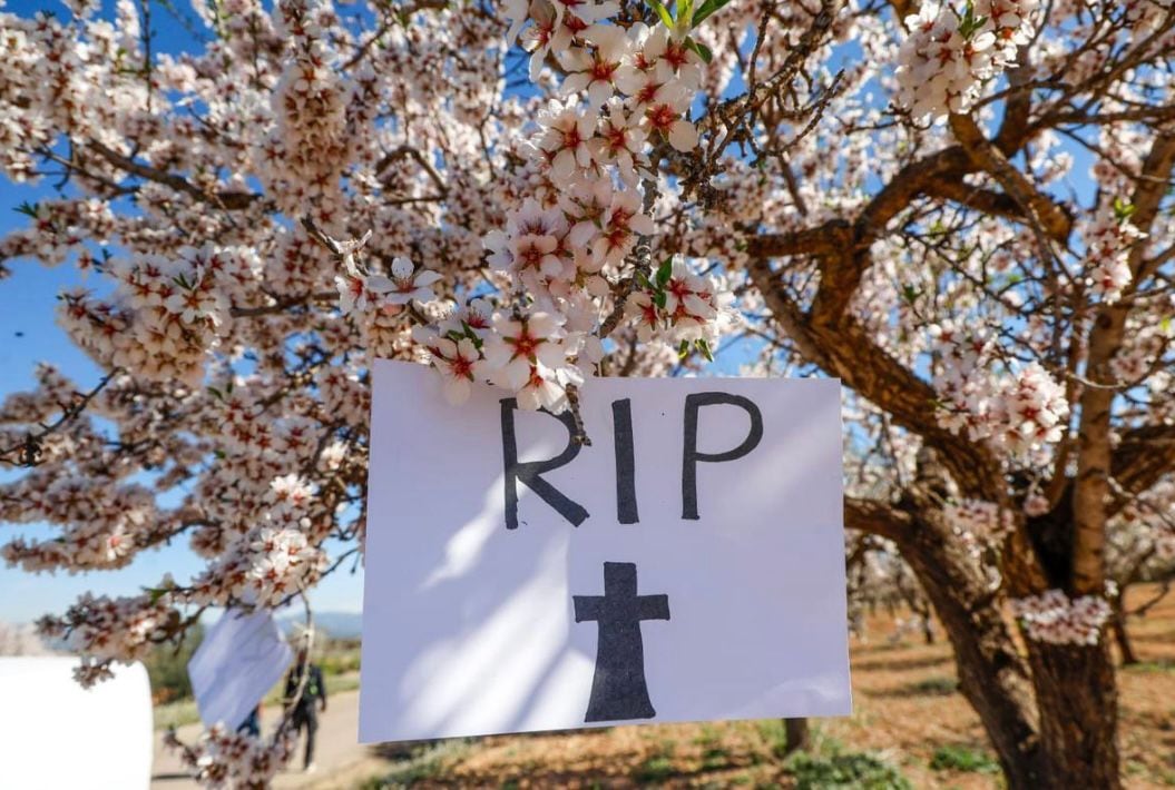 Los vecinos de Llíria y Casinos se muestran en contra de la macroplanta de biometano