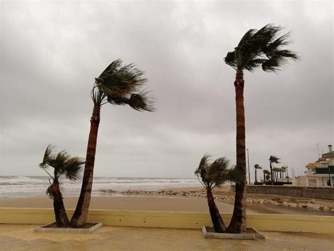 Efectos de las fuertes rachas de viento en una imagen de archivo