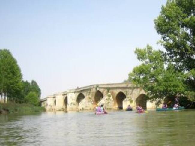 Regatas de Velilla del Río Carrión.