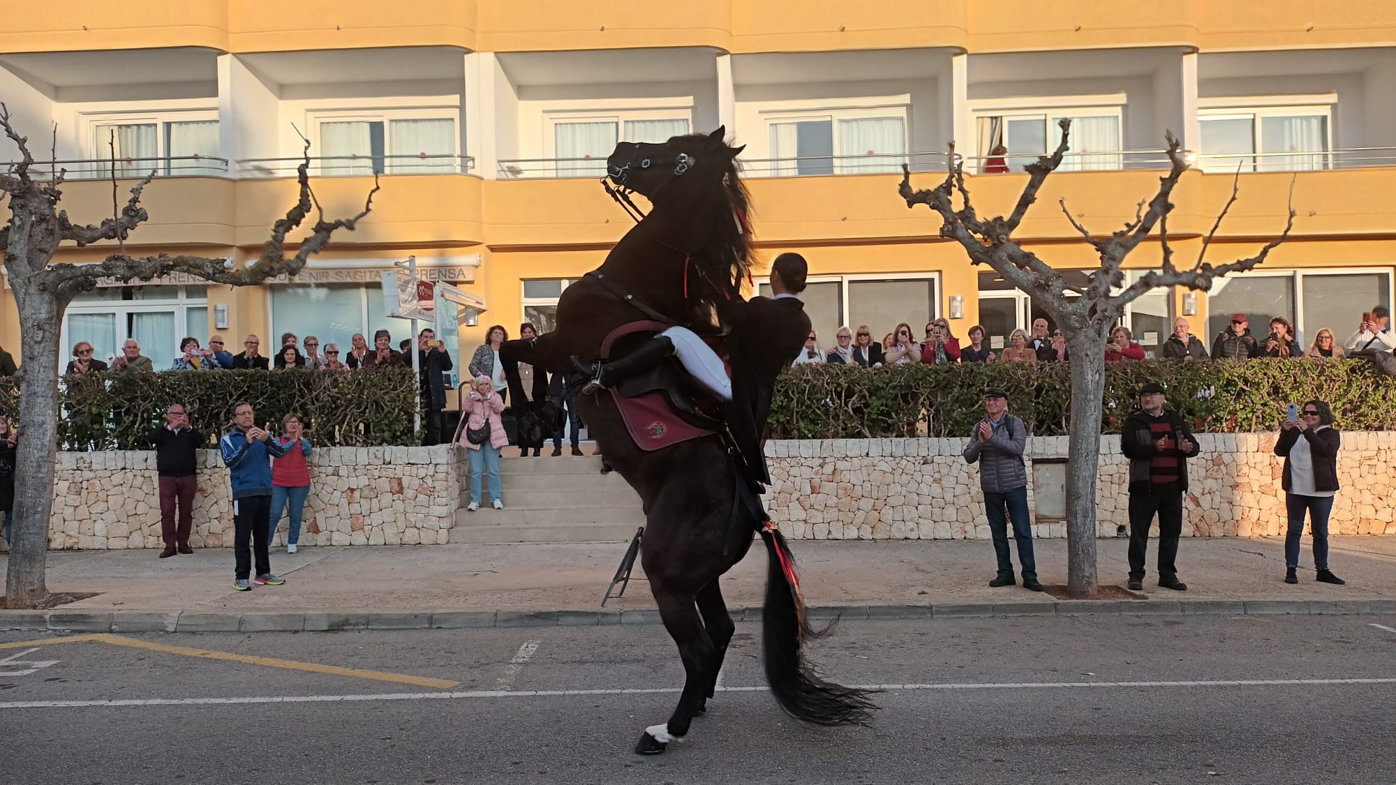 Els cavalls han donat la benviguda als primers turistes