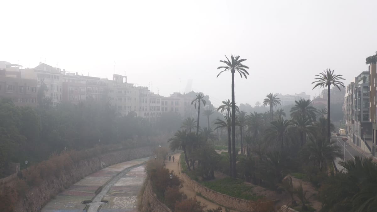 Entrevista al presidente de MeteoElx, Bruno Santandreu, sobre la niebla en Elche