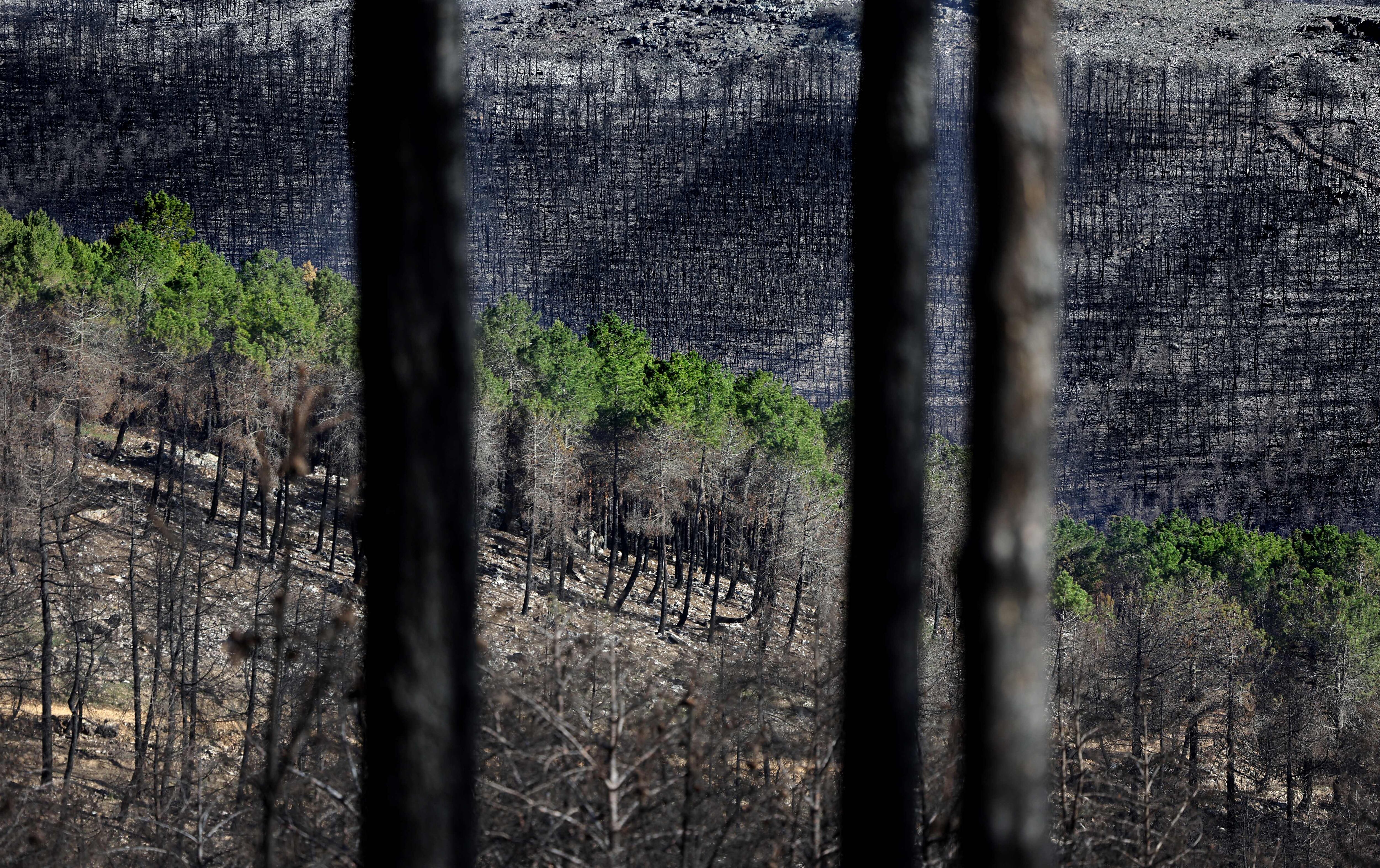 Incendio en Sierra de la Culebra.