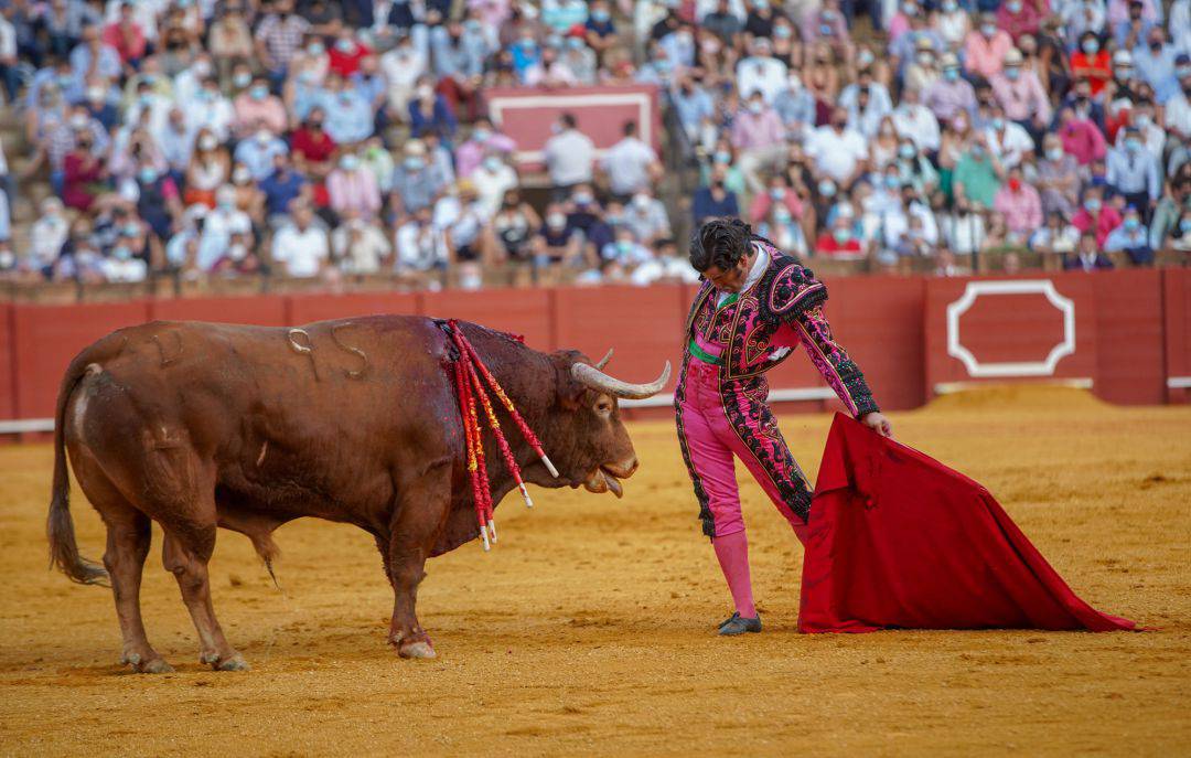 Morante de la Puebla regresa a la Maestranza tras su gran triunfo del pasado mes de octubre, en la imagen