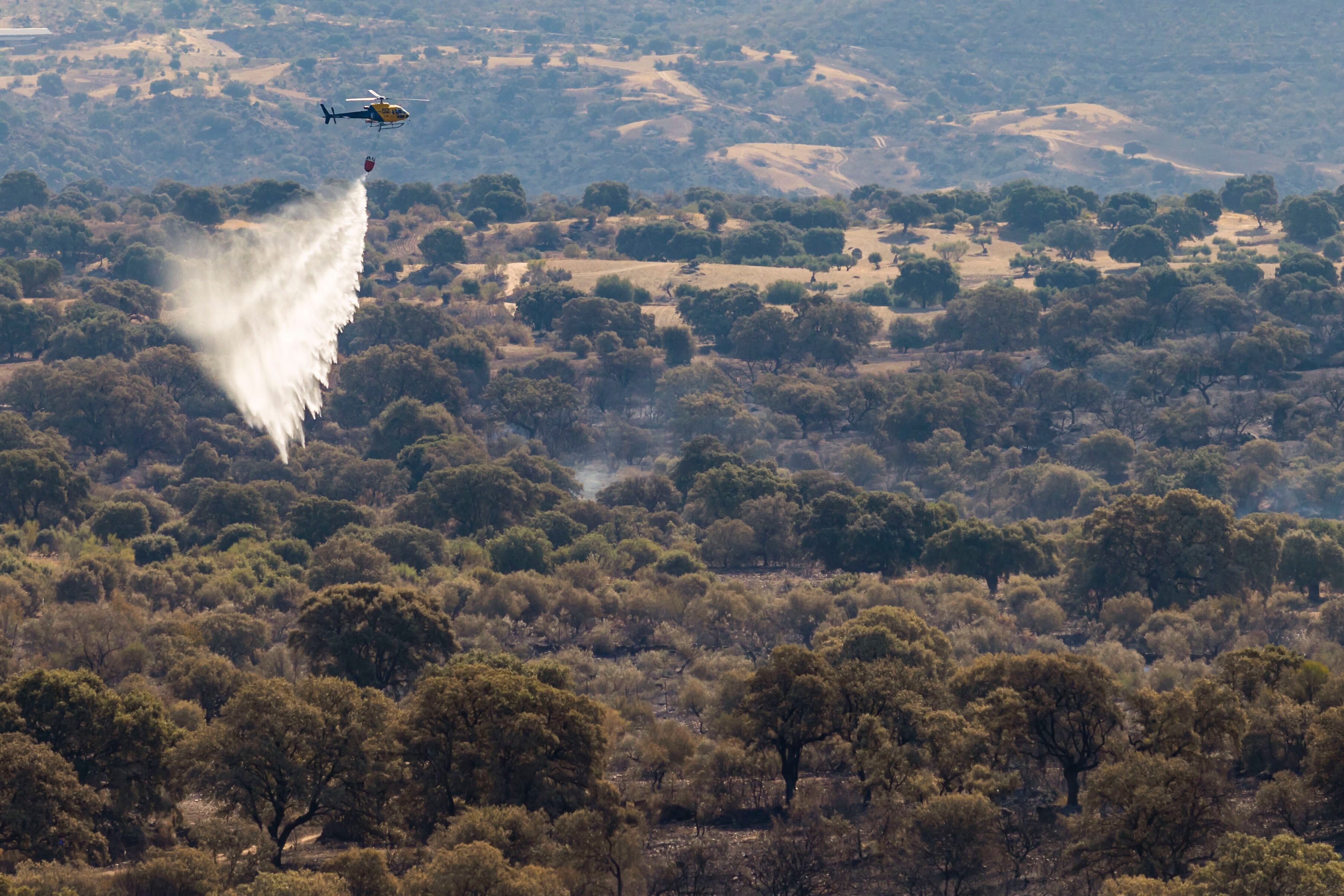 Equipos trabajando en el incendio forestal de La Estrella (Toledo) que ha calcinado 2.500 hectáreas