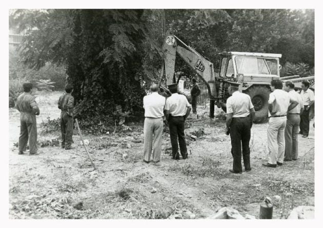 Operarios municipales buscando la serpiente en Los Patos.