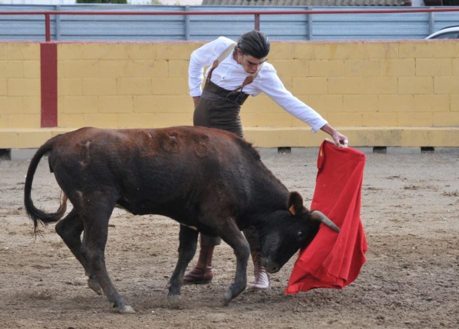 Escuela taurina