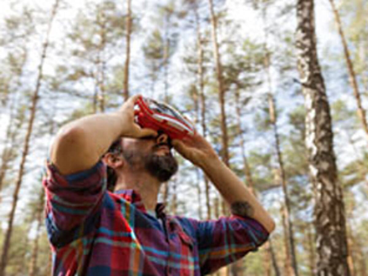 Las iniciativas europeas más punteras en materia de innovación forestal, esta semana en Valladolid