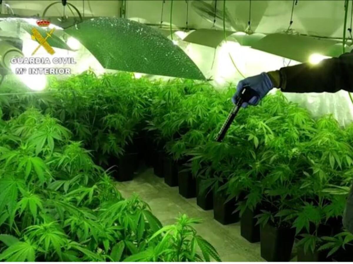 Desarticuladas dos bandas rivales dedicadas al tráfico de marihuana en Bierzo y León