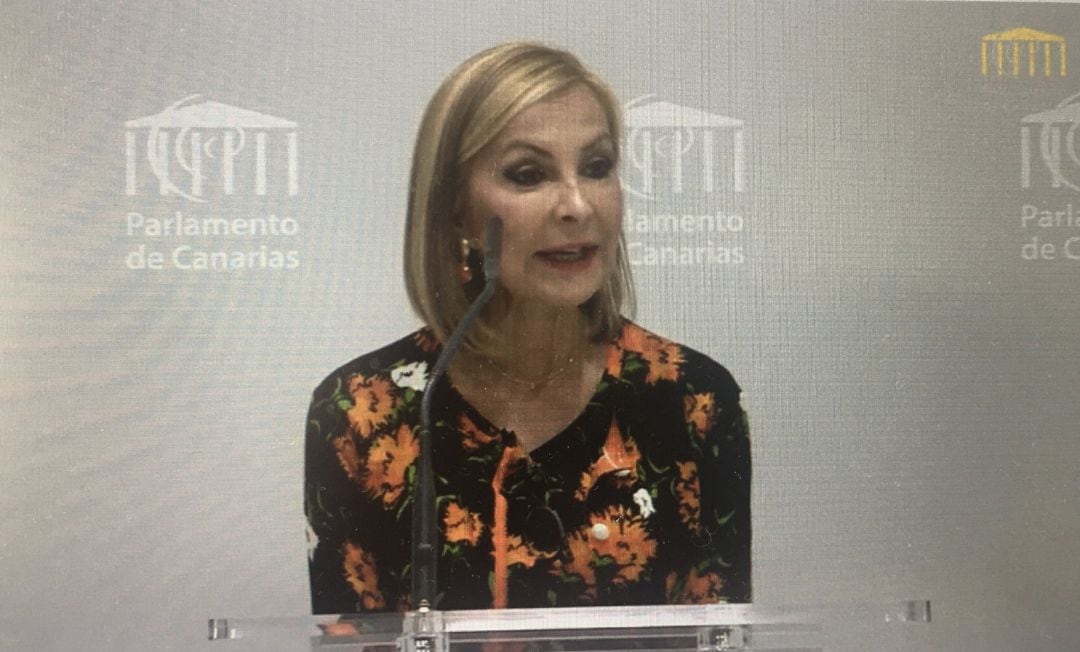 La presidenta del PP de Canarias, Australia Navarro, en rueda de prensa en el Parlamento de Canarias