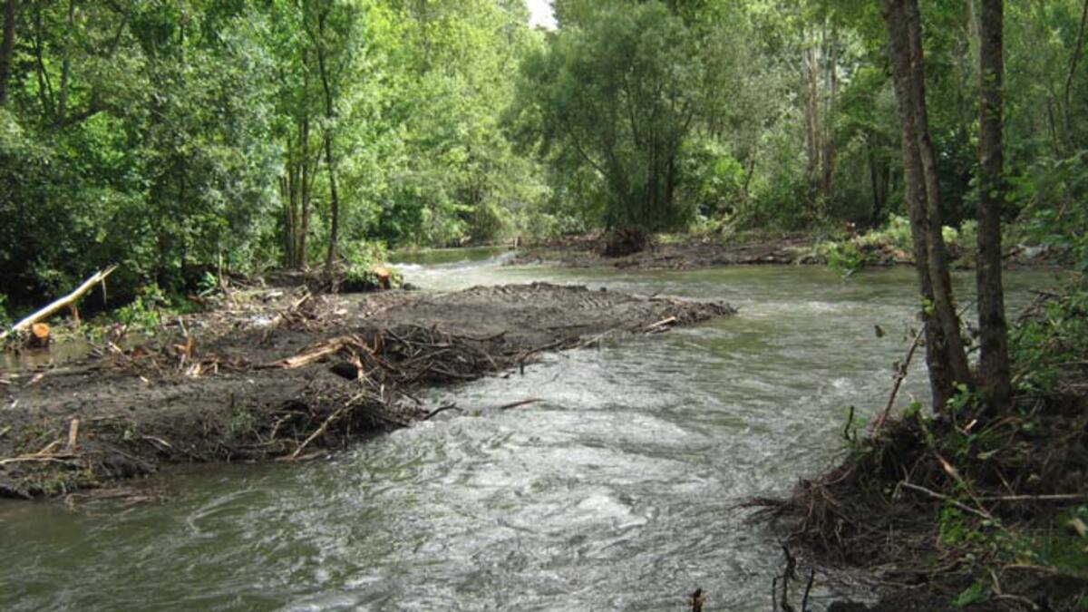 La CH Miño-Sil licita el acondicionamiento del Selmo en Friera, un proyecto que espera desde 2003