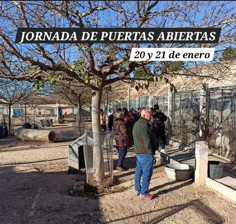 Cartel de las jornadas