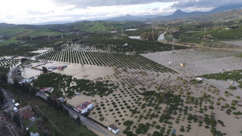 Jimena de la Frontera.