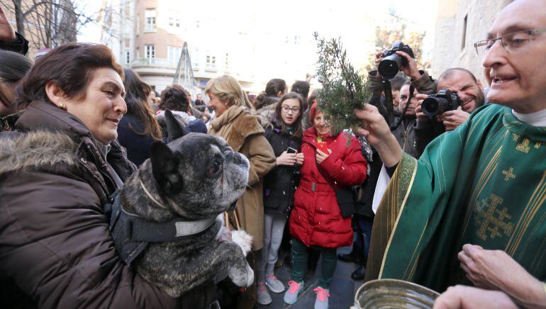 Una mujer lleva a su mascota para que sea bendecida en la iglesia del Salvador de Valladolid