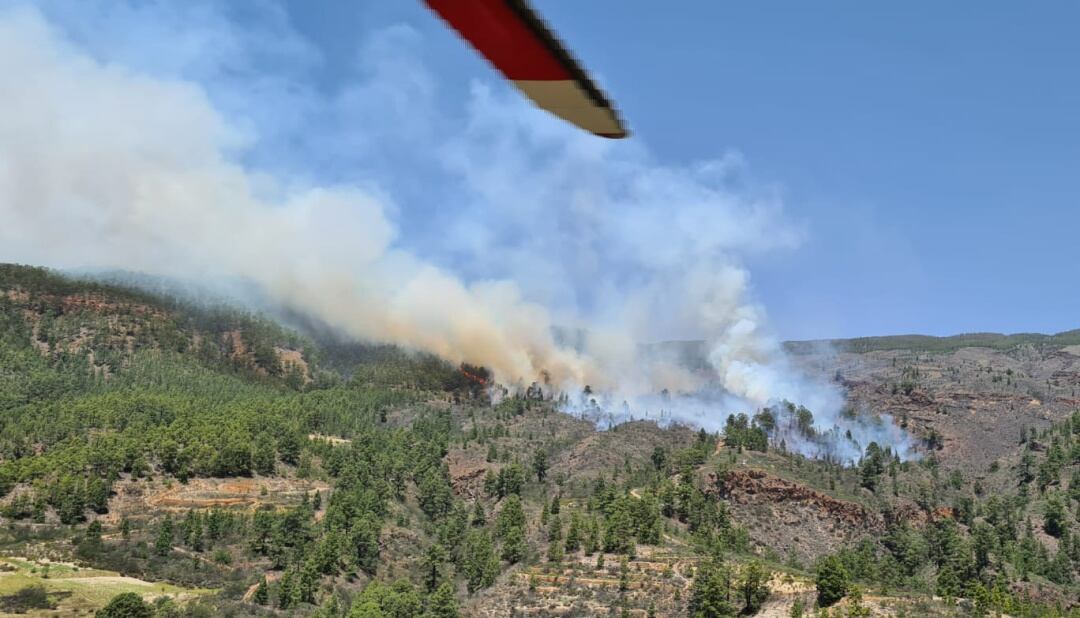 Imagen del incendio declarado en el Barranco de La Chajaña (Arico, Tenerife) en torno a las 12:00