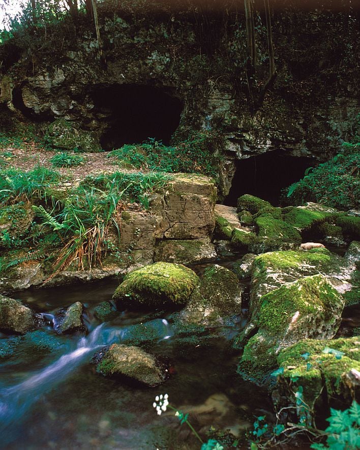 Entradas de la Cueva del Lloviu, en el concejo de Villaviciosa, junto al río España (Asturias).