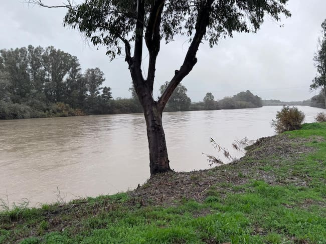 Efectos del temporal en San Roque