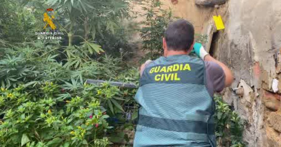 La Guardia Civil en una operación antidroga en Monegros