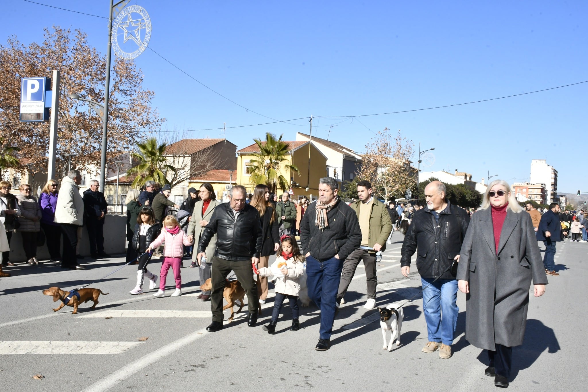 Desfile de San Antón. Villena