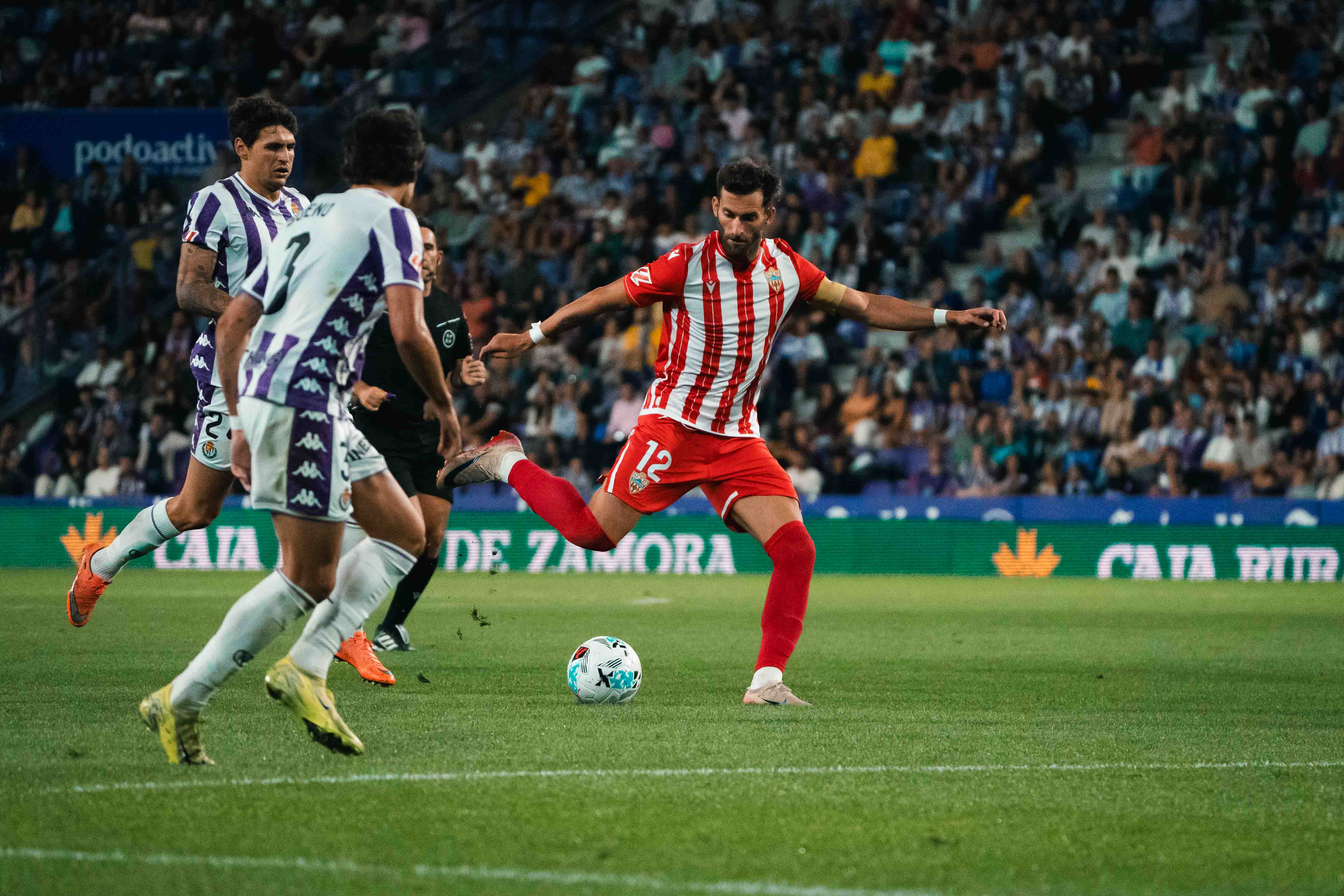 La propuesta en el campo no encuentra recompensa.