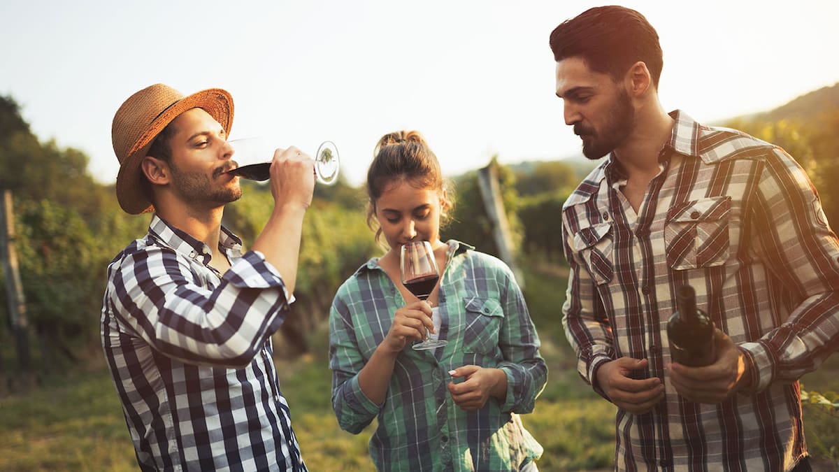 De catas y sin el problema de quién conduce