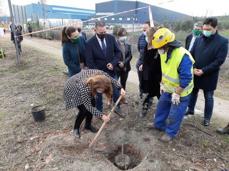 Crespo procede, de manera simbólica, a plantar el primer árbol en la adecuación de esta vía pecuaria.