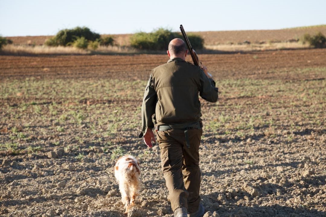 Un cazador avanza por el campo, escopeta al hombro