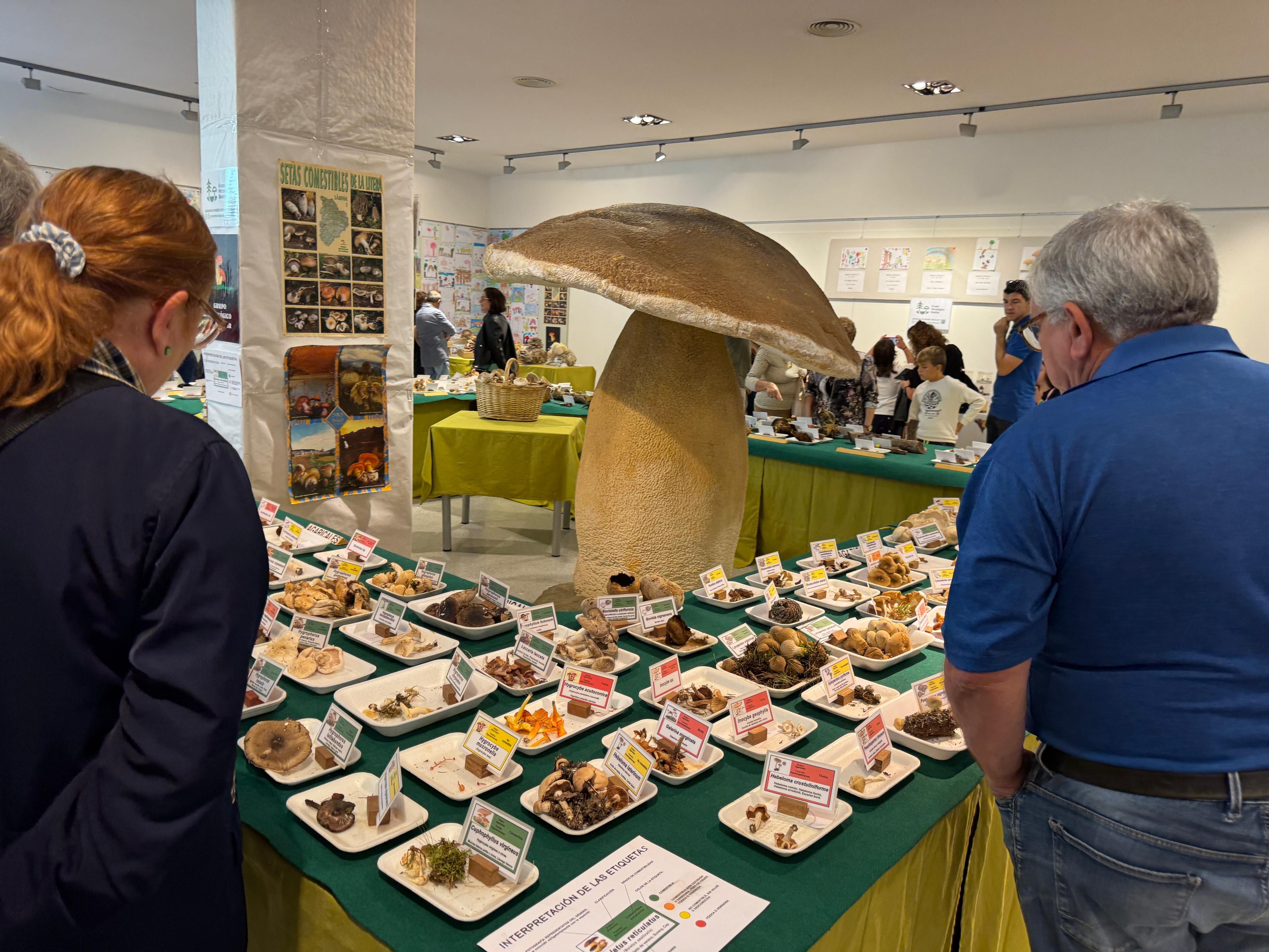 XIV Exposición Micológica de Binéfar