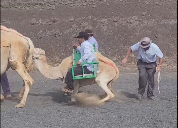 Una de las imágenes captadas por la turista que denuncia la situación.