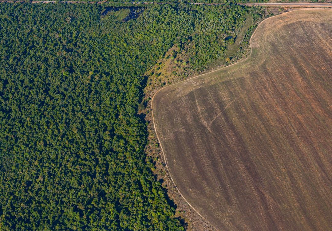 Area afectada por la deforestación del Amazonas.