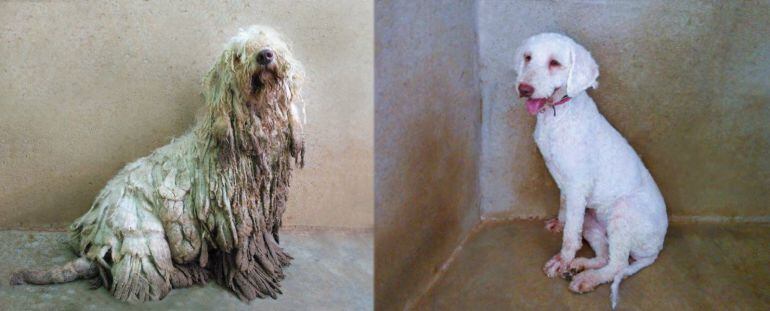 El antes y el después de Magia