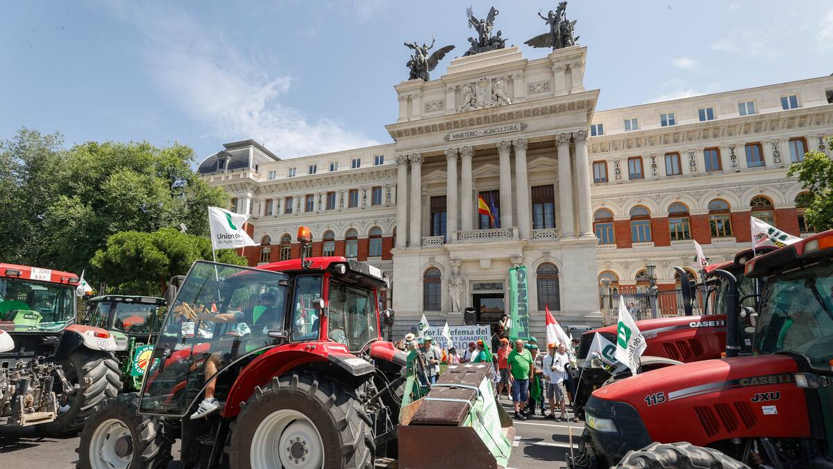 Las organizaciones agrarias en Castilla-La Mancha se organizan para las movilizaciones