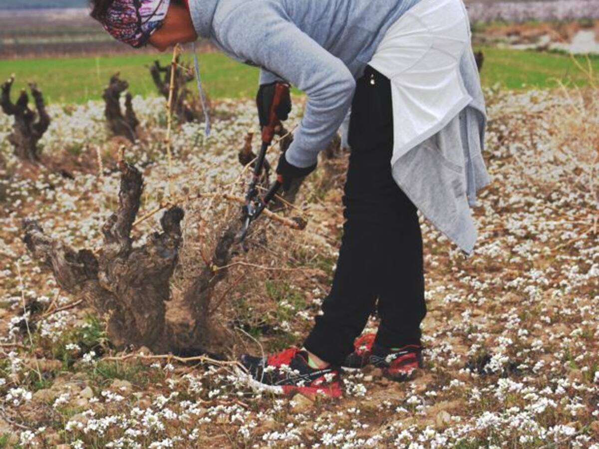 La Mancomunidad de Las Encartaciones conmemora en Lanestosa el Día Internacional de las Mujeres Rurales