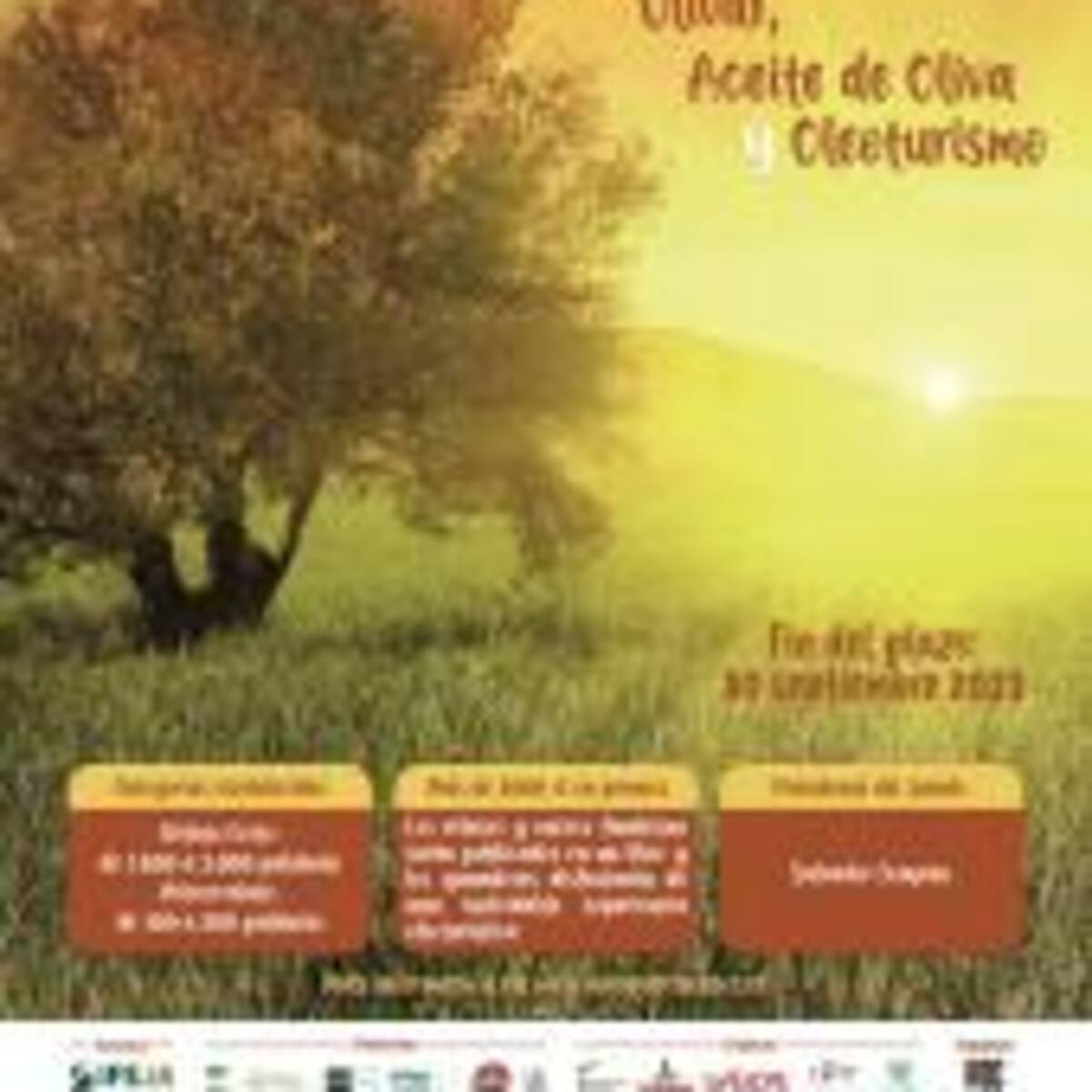 El VI Premio Internacional de Relato sobre Olivar de MQC recibe 90 cuentos a falta de poco más de un mes para que concluya el plazo de presentación