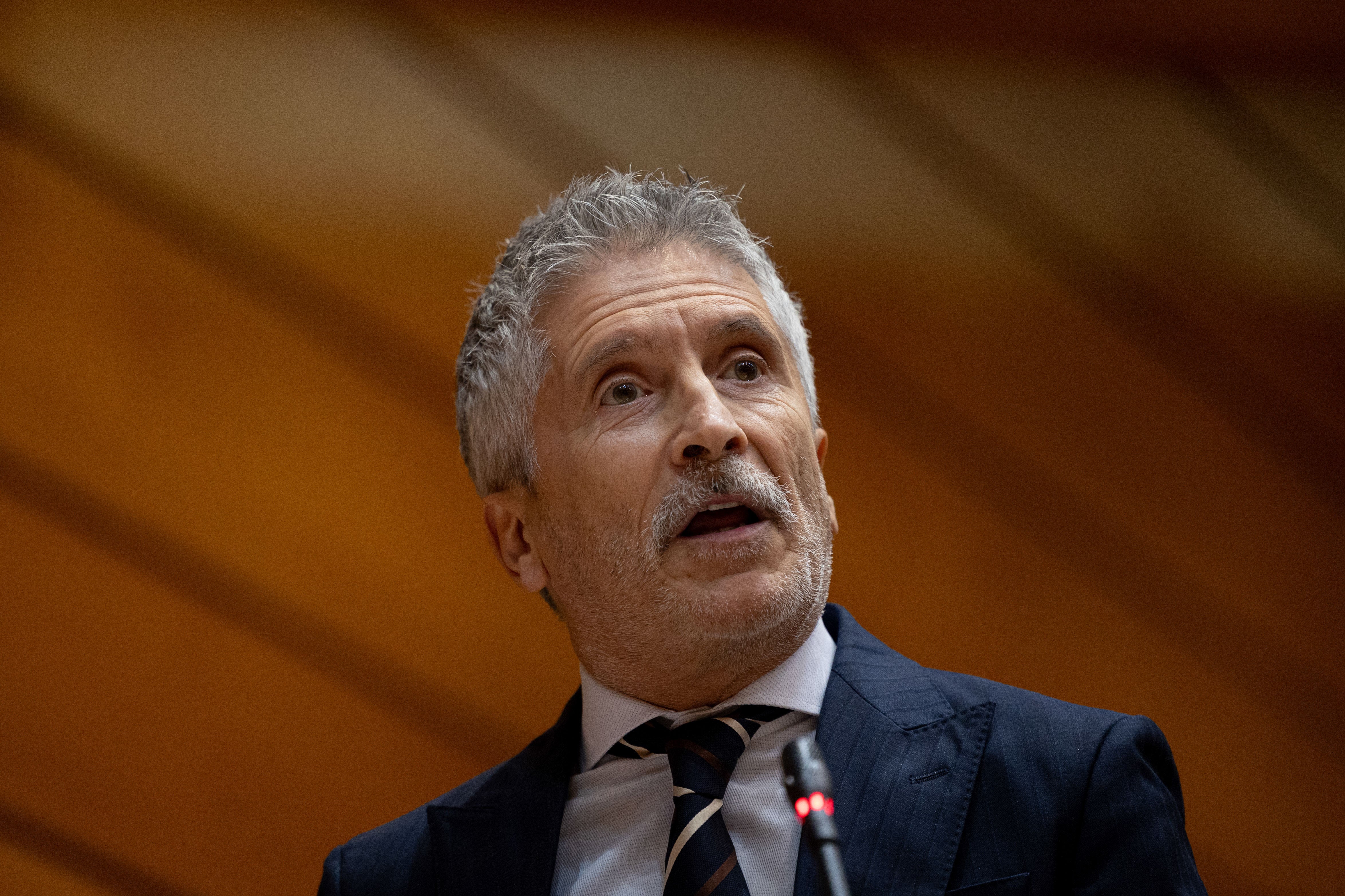 El ministro de Interior, Fernando Grande-Marlaska, durante un Pleno del Senado este martes, en Madrid. Archivo.