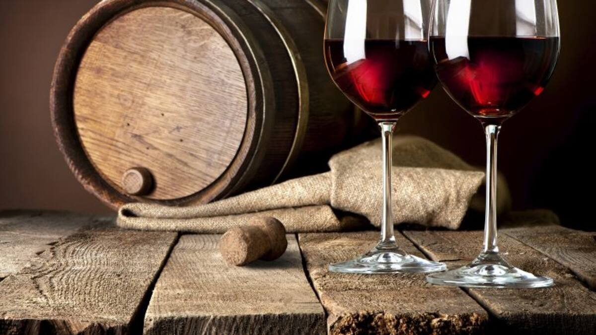 Expo Vino La Línea 2016, Primer salón del vino y la alimentación.