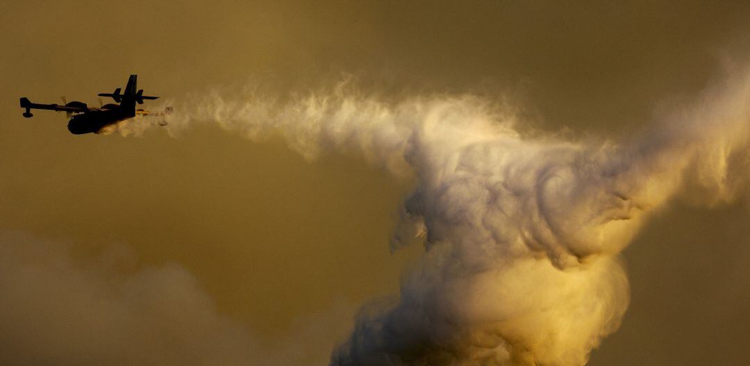 Archivo de un incendio forestal