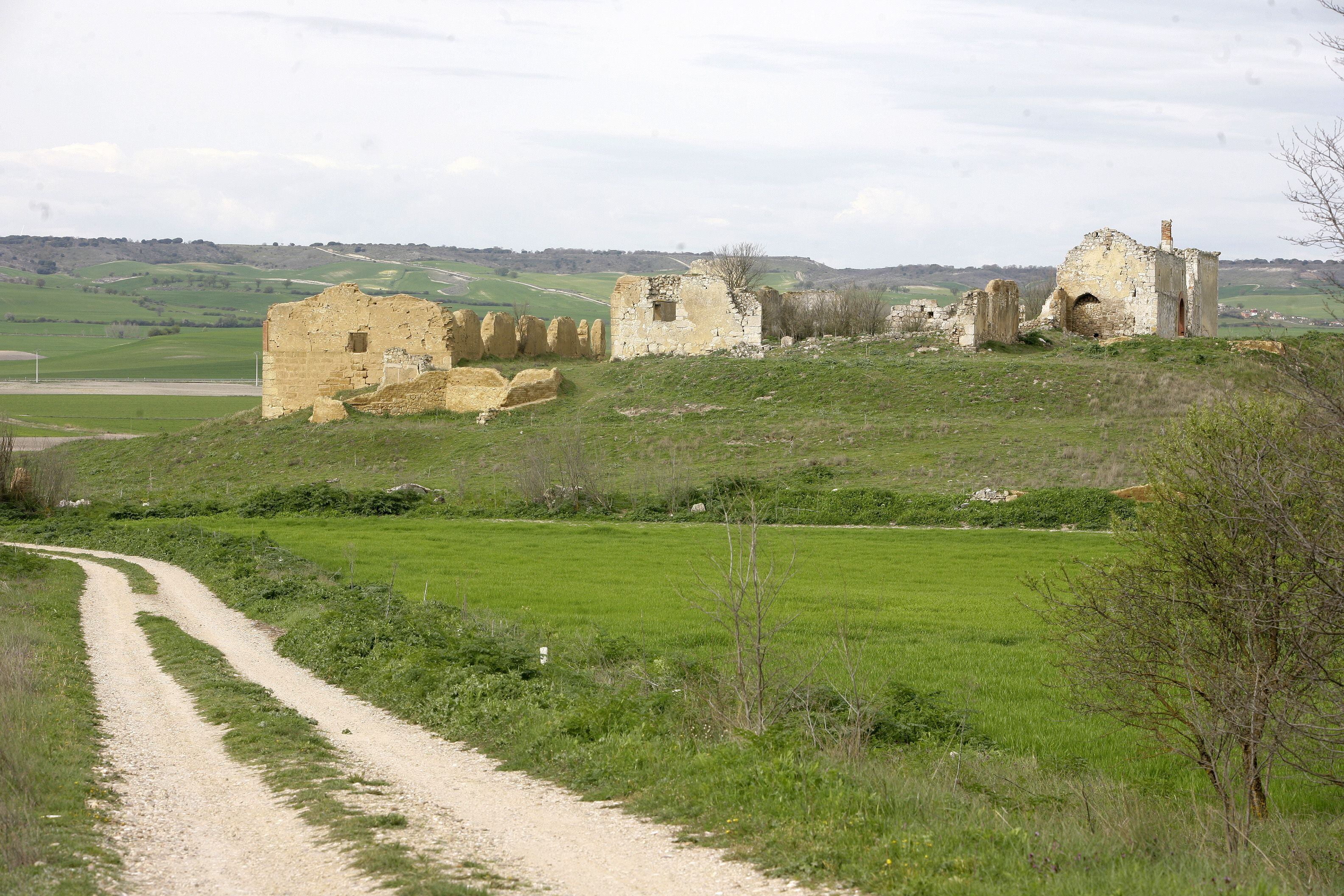 Camino Dehesa de Tablada en Villaviudas (Palencia)