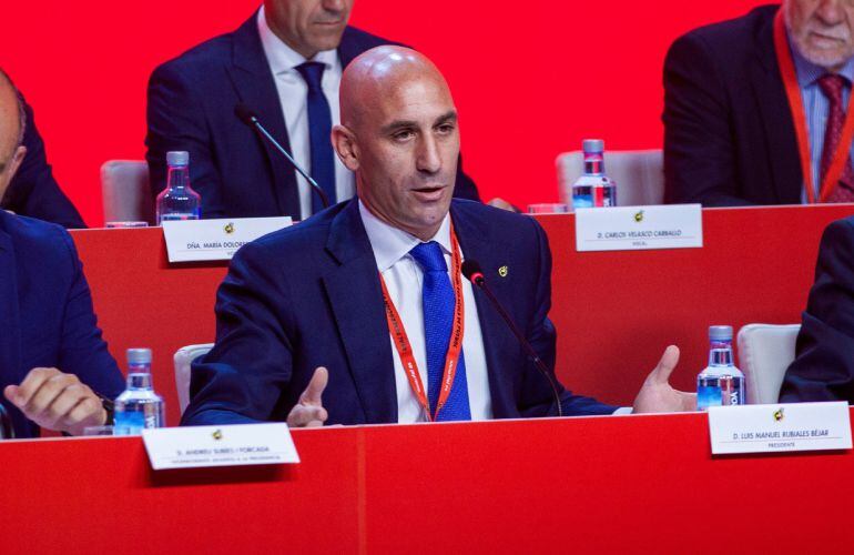 El presidente de la Federación Española de Fútbol, Luis Rubiales, durante la asamblea general ordinaria en la ciudad de fútbol de las Rozas.