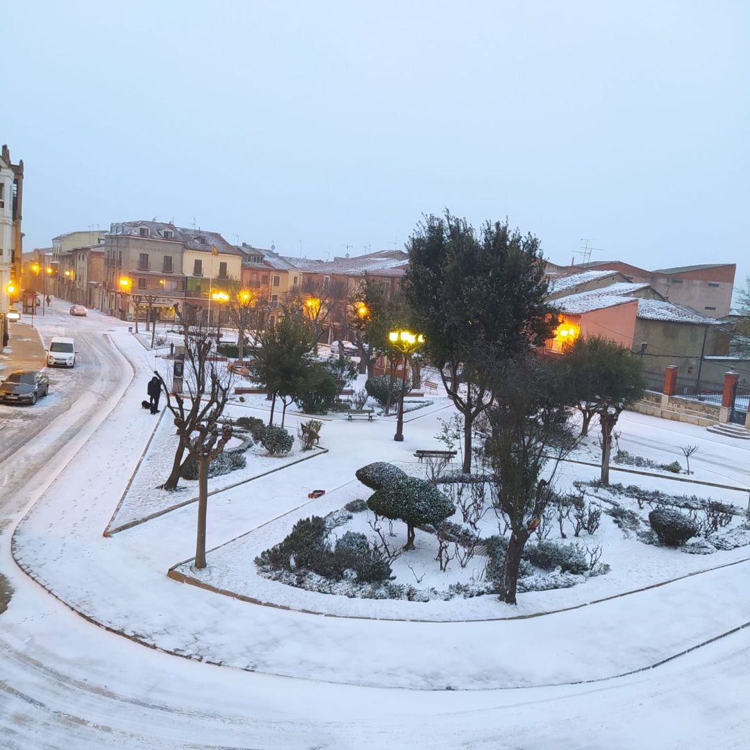 Toro amaneció nevada
