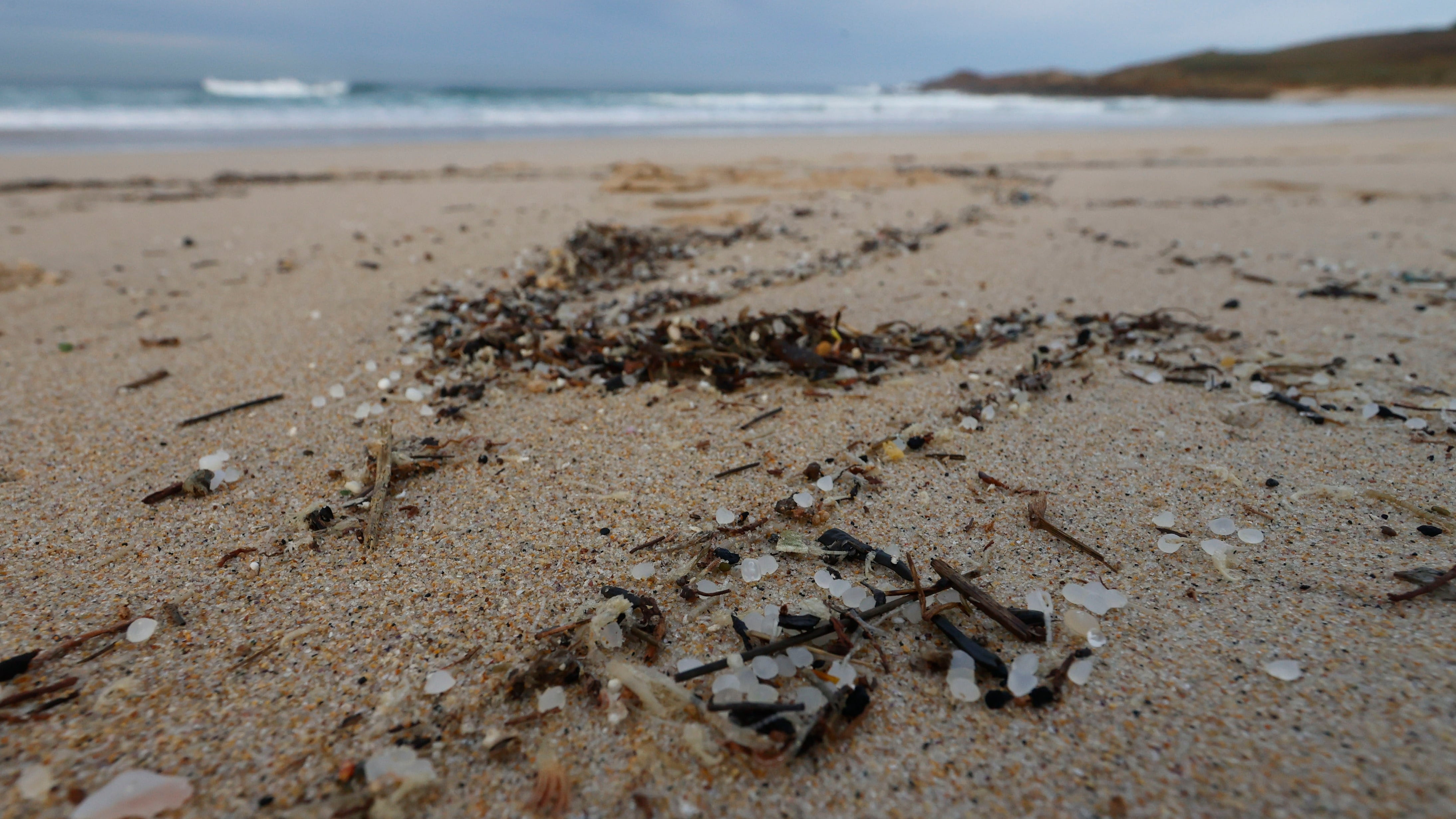 FERROL (GALICIA), 08/01/2024.- Voluntarios, asociaciones de ecologistas y los propios municipios afectados llevan días organizándose para limpiar las playas gallegas afectadas por el vertido de millones de pellets de plásticos tras la pérdida de hasta seis contenedores por parte del buque Tuconao en aguas portuguesas. Los micro plásticos llegan a la playa de Doniños en Ferrol. EFE/ kiko delgado
