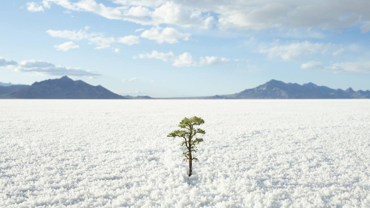 Descubre cuáles son las tres películas de resiliencia para ver esta Navidad