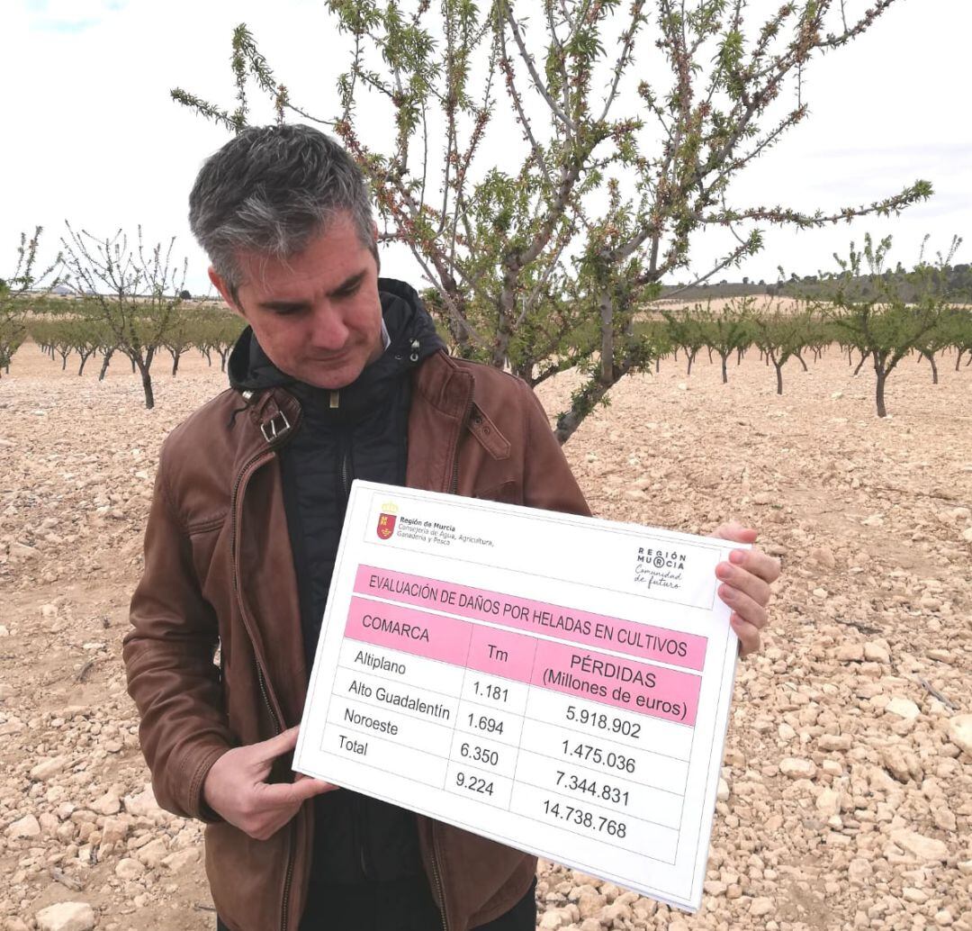 El consejero Miguel Ángel del Amor ha visitado Jumilla para evaludar los daños de las heladas