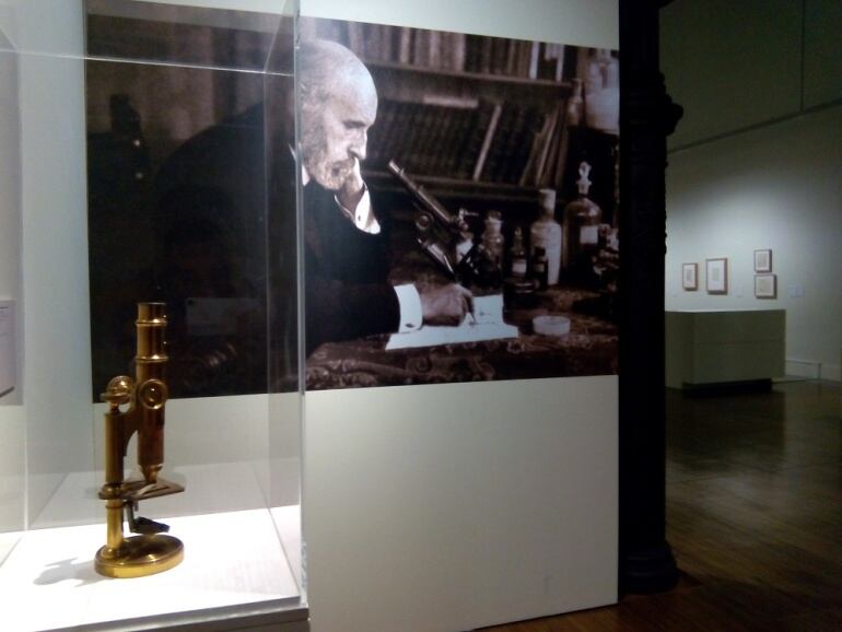 Así comienza esta exposición.