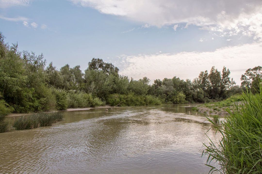 El río Guadalete, a su paso por Jerez