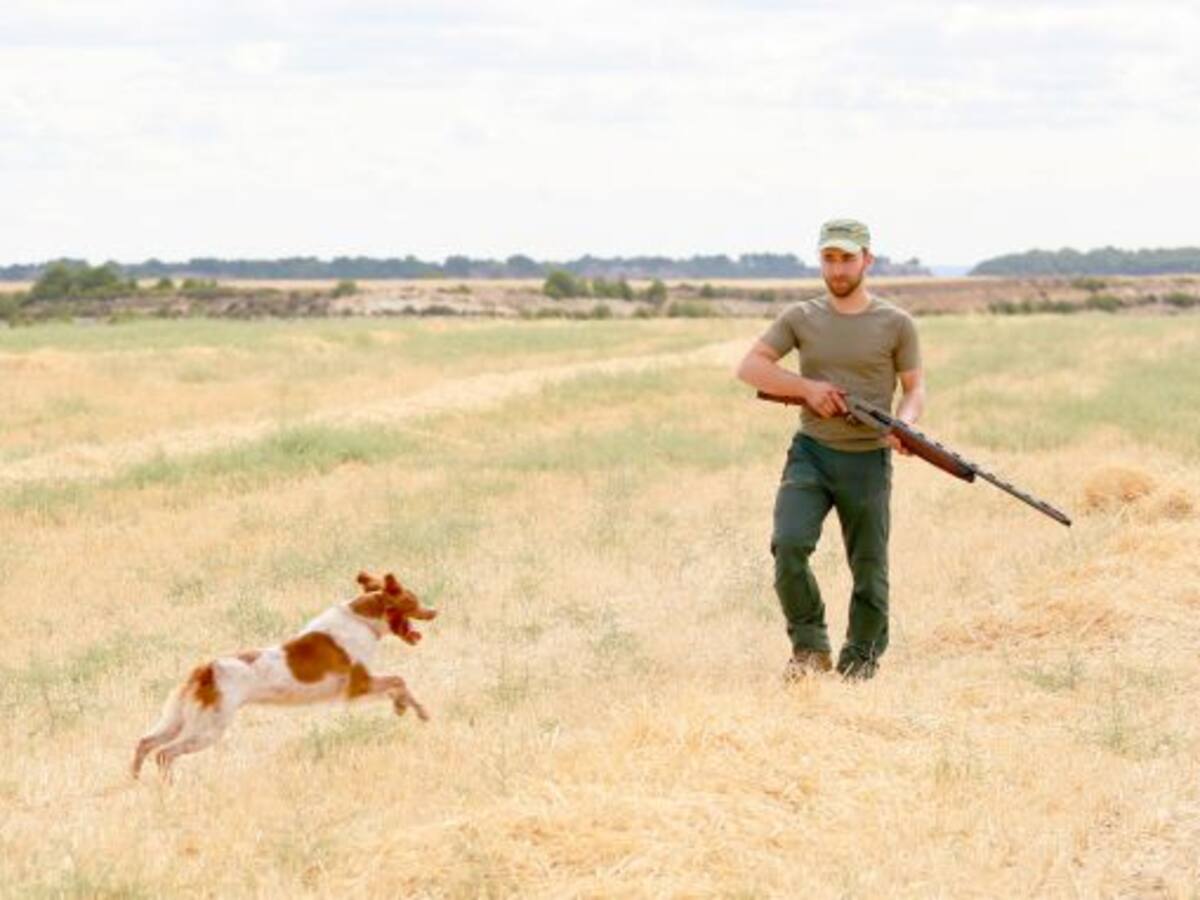 Los cazadores denuncian el abandono de la clase política