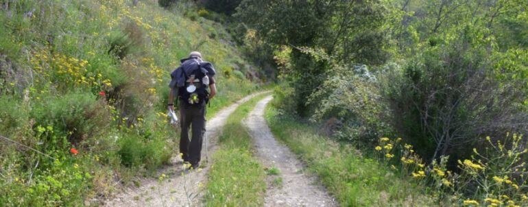 El Bierzo quiere reconocer oficialmente su tramo del camino de Santiago de Invierno