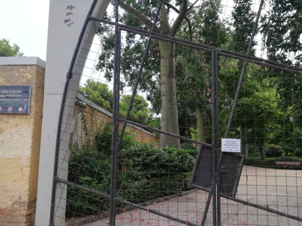 València cierra parques y jardines por la gota fría